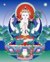 Buddhafish