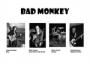 Bad Monkey