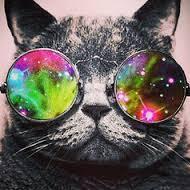 Astracat