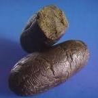 caramello