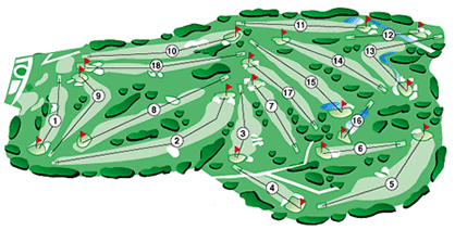 image.gif