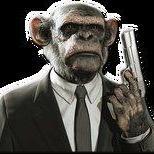 Chimps in Balaclavas