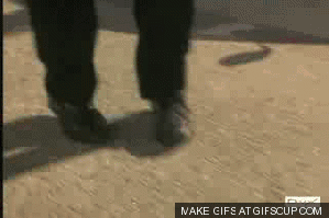 aptEcU5.gif.4c63cf1d42ec1c8fe20b749aea38bf2b.gif