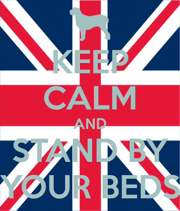 B420ED8C-D309-488E-BDBB-29EC4BE4C179.png.112222c13412331ed24f3450ac0ce385.png