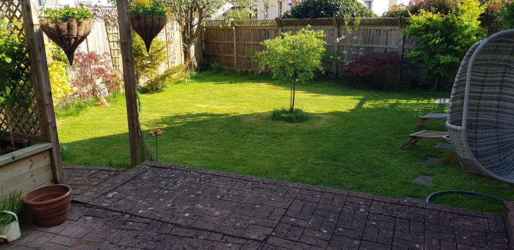 2039167291_garden2.thumb.jpg.5e9bd6954d613a5889714d6ac43f9357.jpg