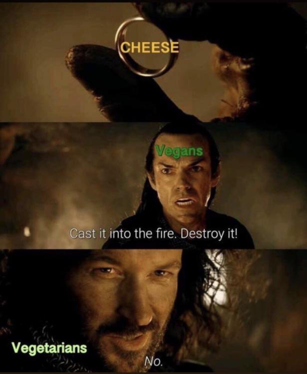 4BCE0202-0FE6-426E-B0F8-F1D2C67D4B33.jpeg