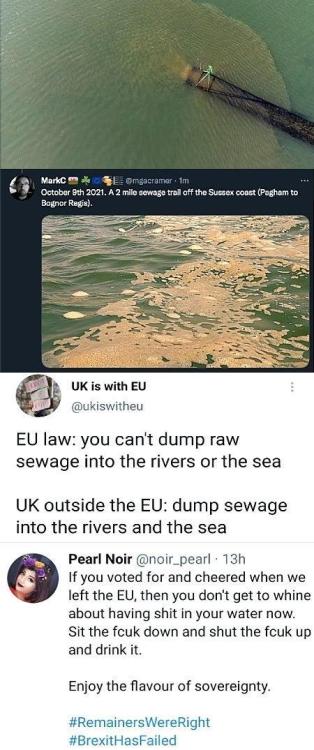 sH0UDK-EGrQI1XsUl5zppqWUd4fxE7Xc_Oh5wqwp7EI.jpg