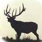 Greenelk