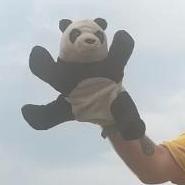 pandahands