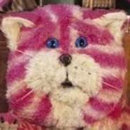 BagpussSeesAllThings