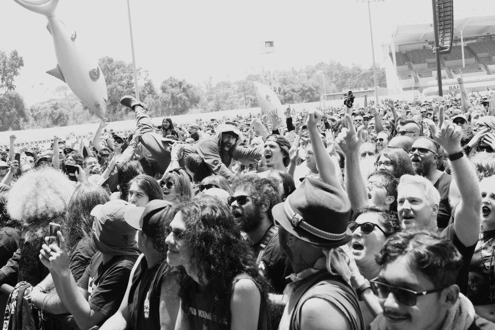 Crowd (23).jpg