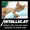 Rocking mouse