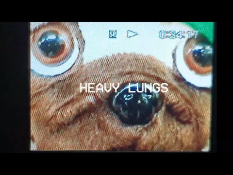 Heavy Lungs | (A bit of a) Birthday