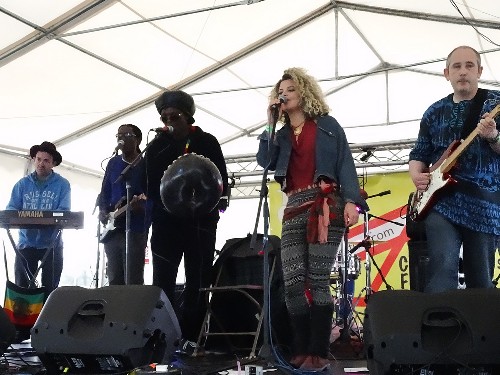 Zimbaremabwe Mbira Vibes @ The Cursus Cider & Music Festival 2015