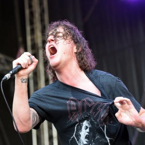The Pigeon Detectives