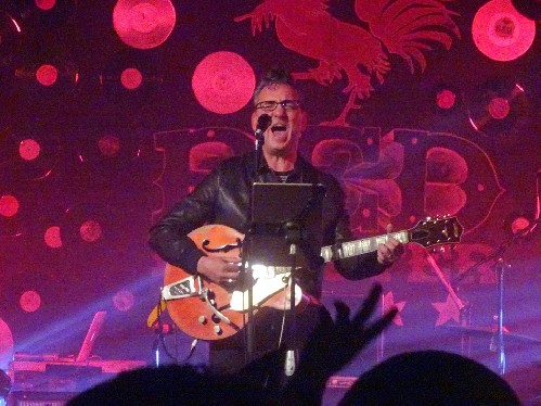 Richard Hawley: Red Rooster Festival 2021